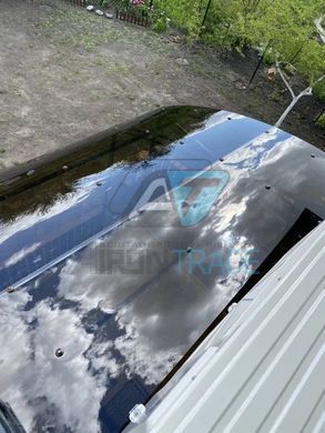 Купити Монолітний полікарбонат PALSUN 8 мм Бронза 2050x1523 мм